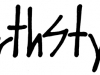 North Style Logo